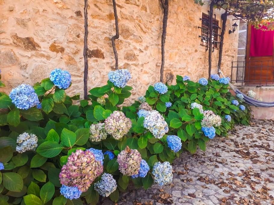 Quintinha De Santiago Villa Oliveira de Azemeis Eksteriør bilde