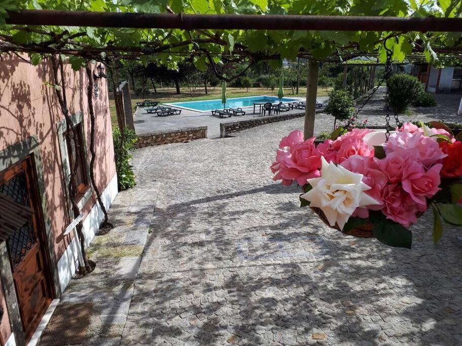 Quintinha De Santiago Villa Oliveira de Azemeis Eksteriør bilde