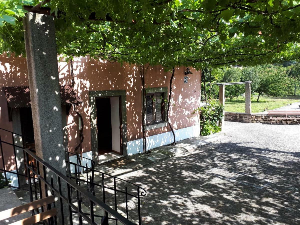 Quintinha De Santiago Villa Oliveira de Azemeis Eksteriør bilde